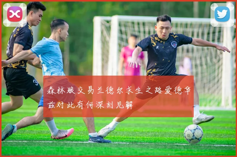 森林狼交易兰德尔求生之路爱德华兹对此有何深刻见解
