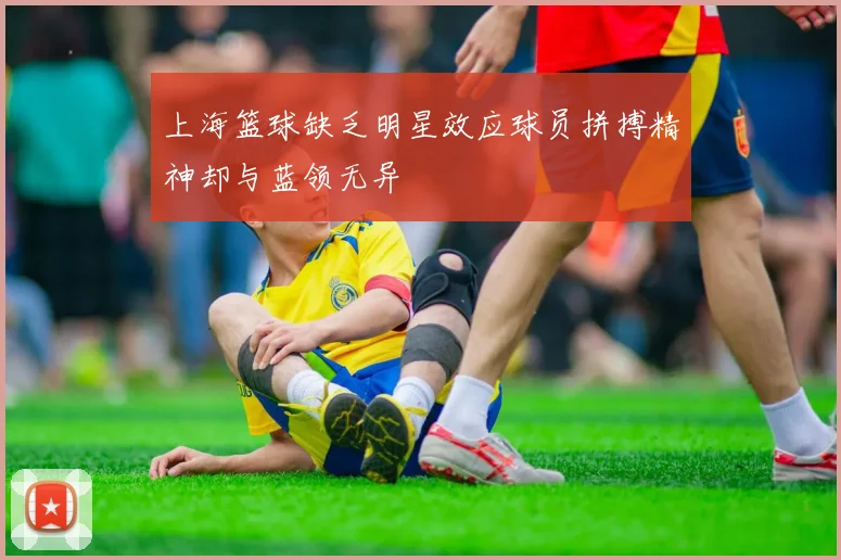 上海篮球缺乏明星效应球员拼搏精神却与蓝领无异
