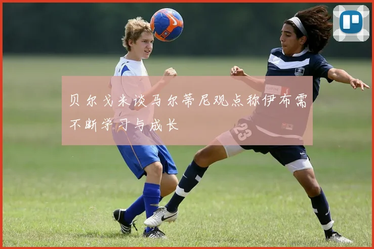 贝尔戈米谈马尔蒂尼观点称伊布需不断学习与成长