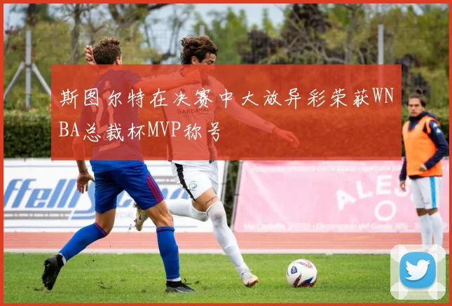 斯图尔特在决赛中大放异彩荣获WNBA总裁杯MVP称号